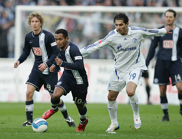 体育活动的 体育活动的