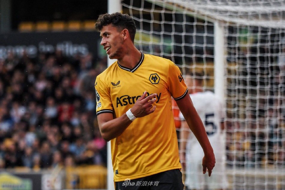 森纳的重要 森纳的重要